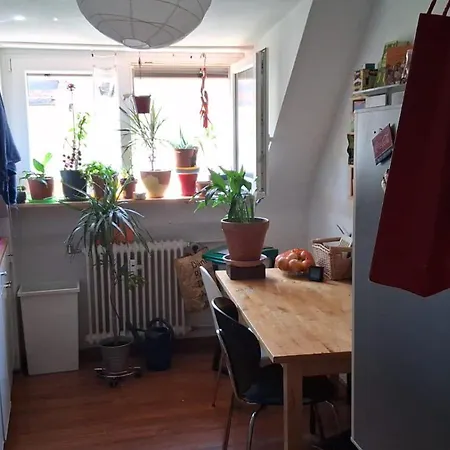 In Perfekter Lage * Friburgo em Brisgóvia