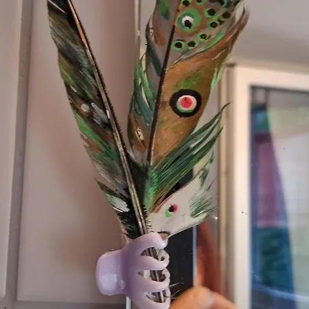 In Perfekter Lage * Фрайбург